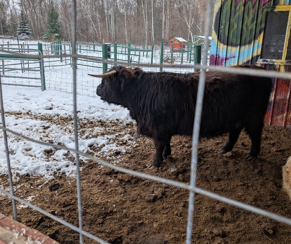 Rooftop Landing Reindeer Farm-Clare必去景点