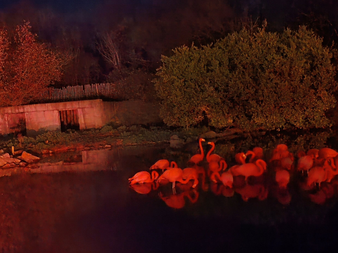 Planète Sauvage-Port-Saint-Pere必去景点