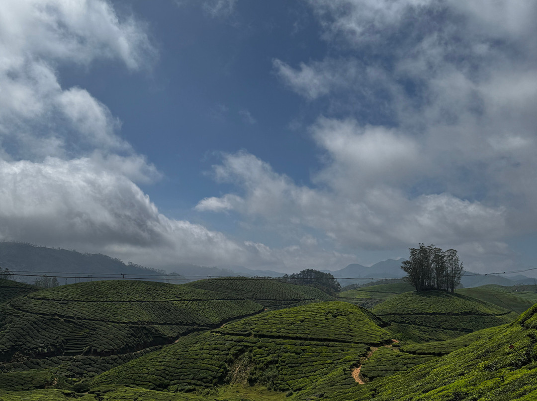 Kochi Taxi 24X7-柯钦必去景点
