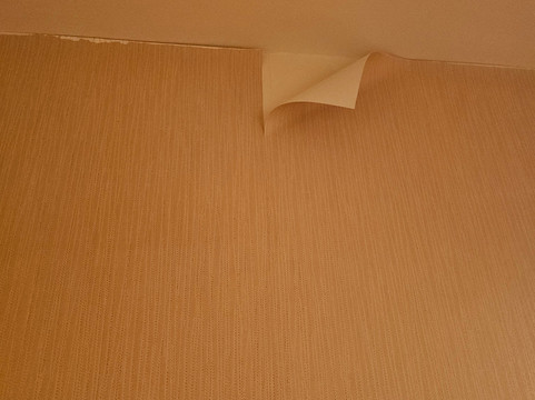 克洛维斯希尔顿花园酒店主图