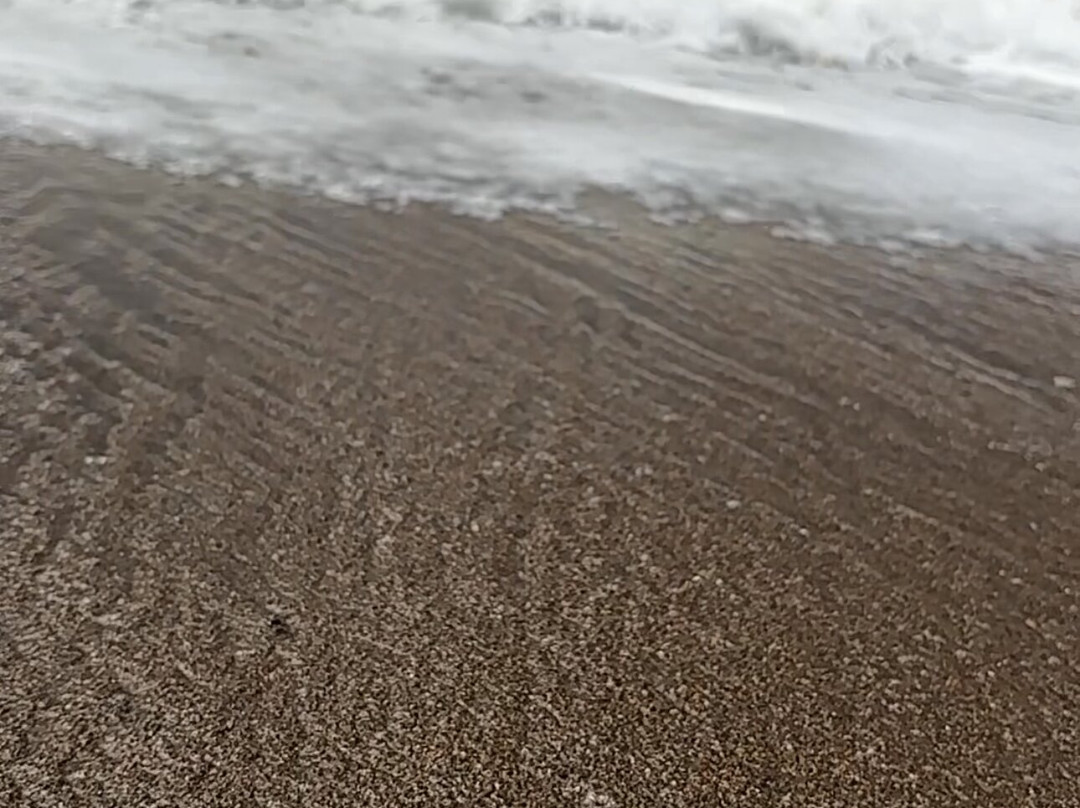 Pamana Resorts And Hotels主图