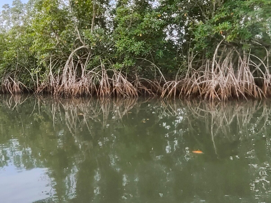 Makasutu Culture Forest-塞瑞库达必去景点