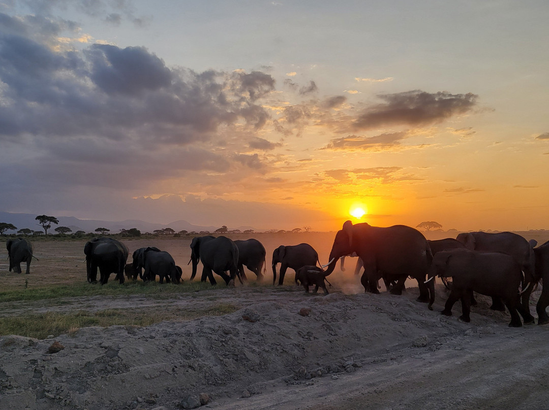 Shadows of Africa-阿鲁沙必去景点