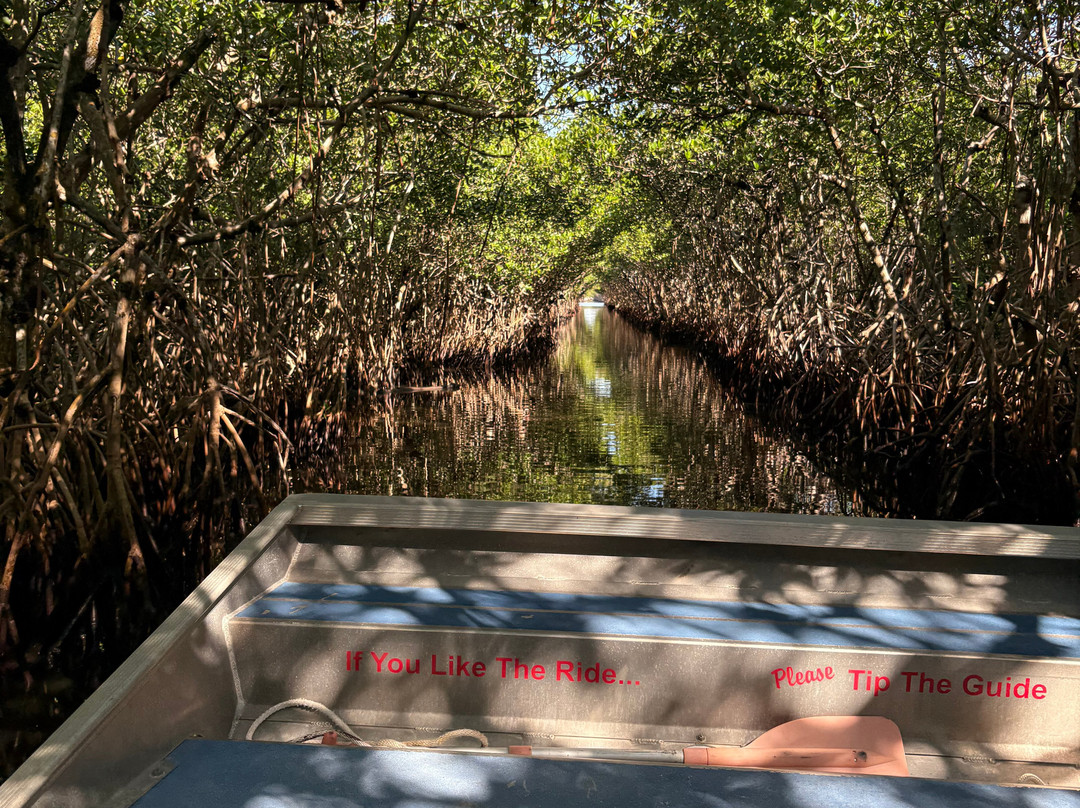 Everglades City Airboat Tours-大沼泽地必去景点
