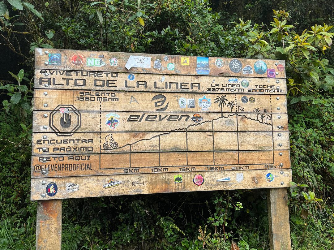 Cocora Trek Salento-萨伦托必去景点