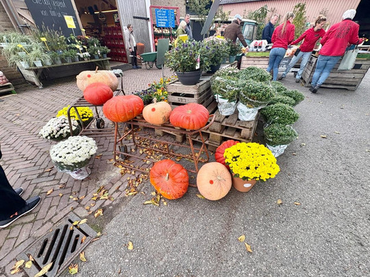Vink Fruitboerderij-Kraggenburg必去景点