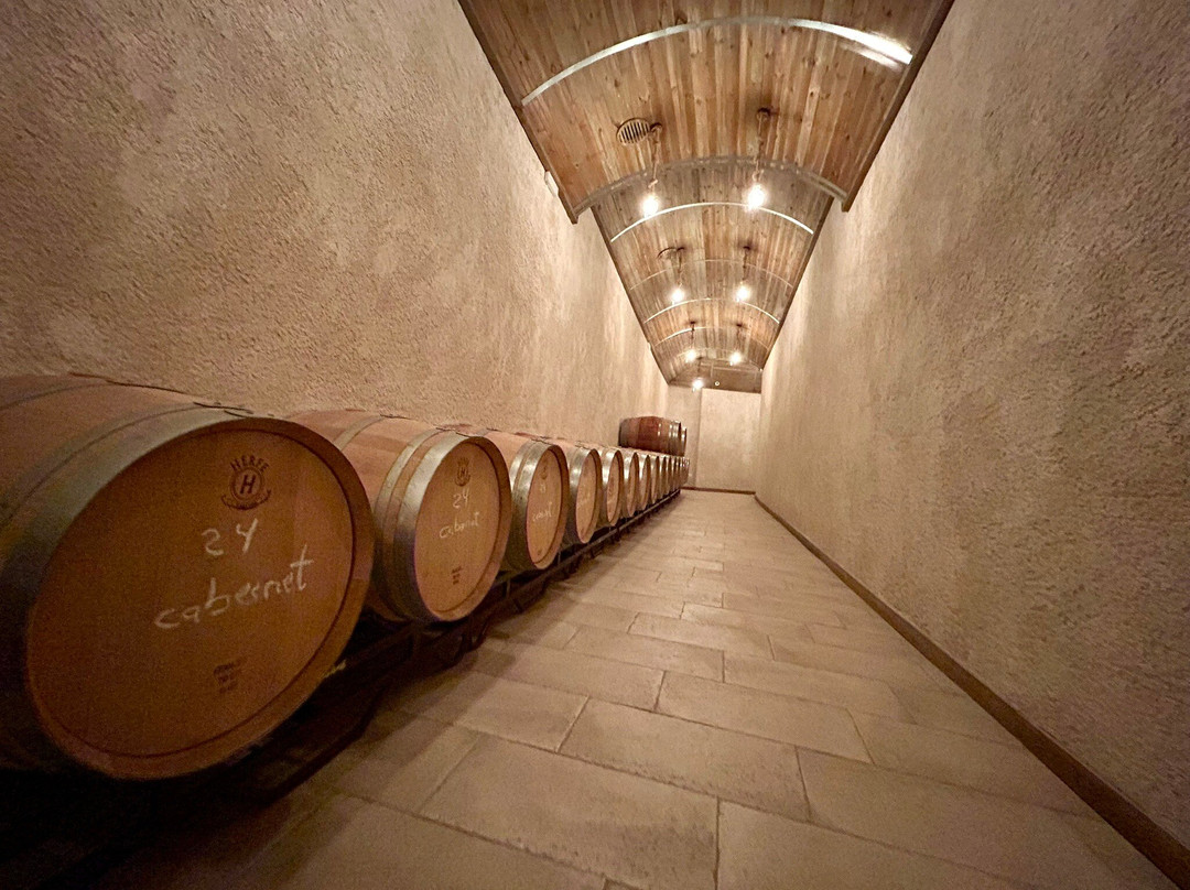 Bodegas Y Viñedos Pedro Garcia-Colmenar de Oreja必去景点