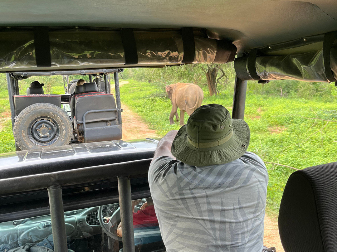 Nature Paradise Travels-科伦坡必去景点