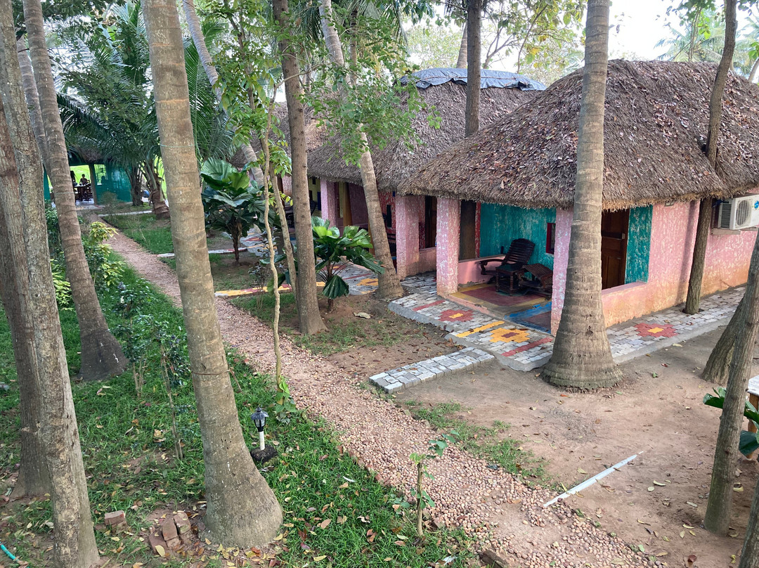 Paddy Homestay主图