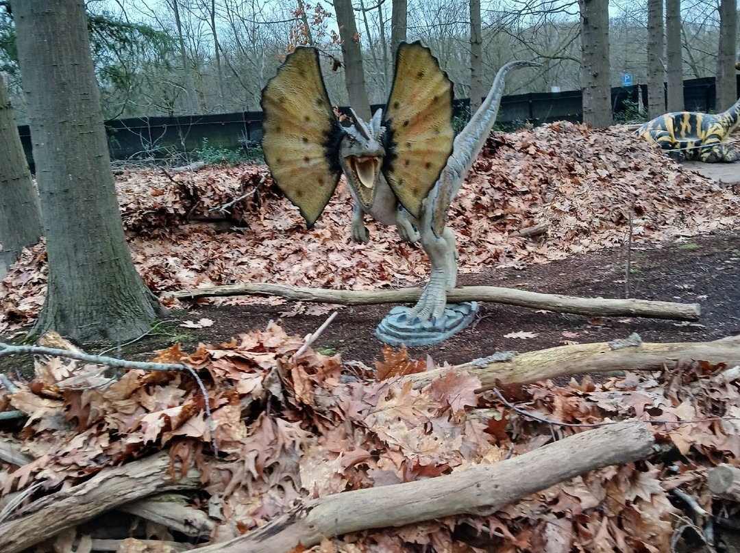Het Oertijdmuseum-Boxtel必去景点