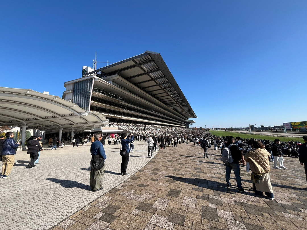 Tokyo Racecourse-府中市必去景点