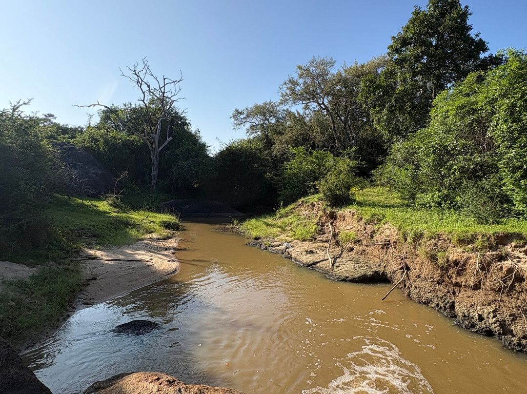 Jami River Side Hotel & Yala Safari Place主图