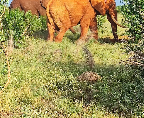 Girasole Tours And Safaris-瓦塔木必去景点