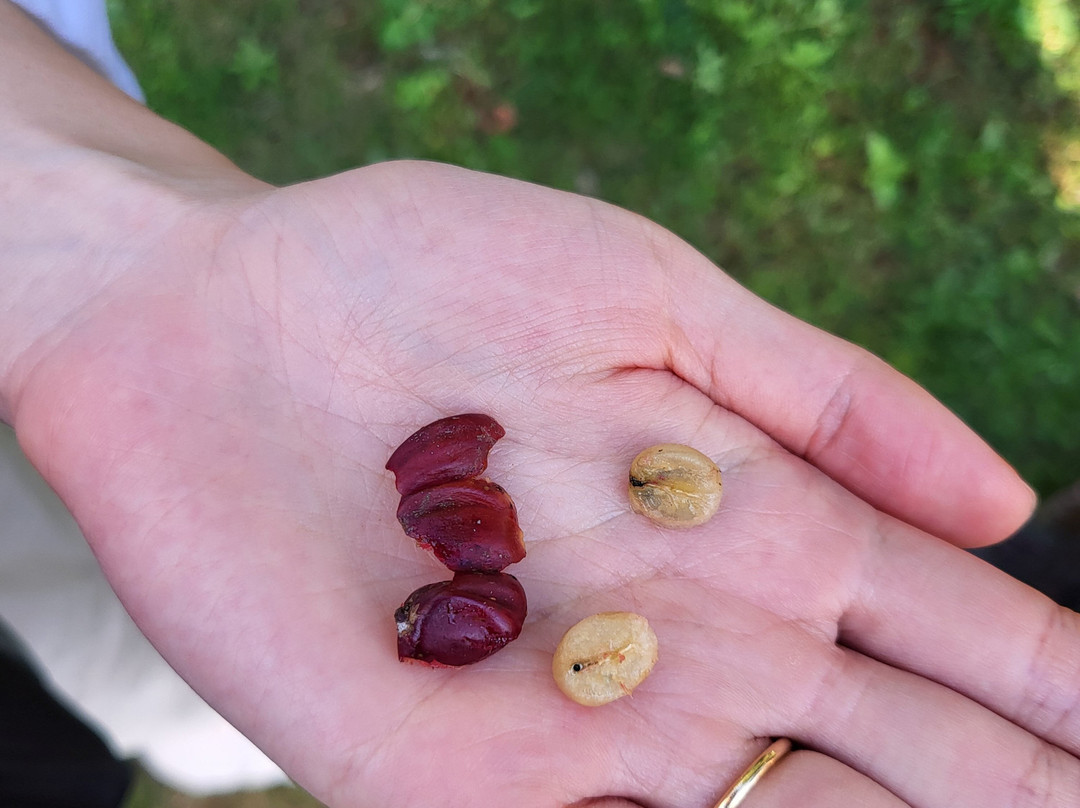 DaLat Day Tours-大勒必去景点