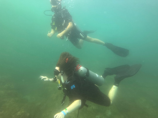 Dressel Divers Puerto Vallarta-蓬塔米塔必去景点