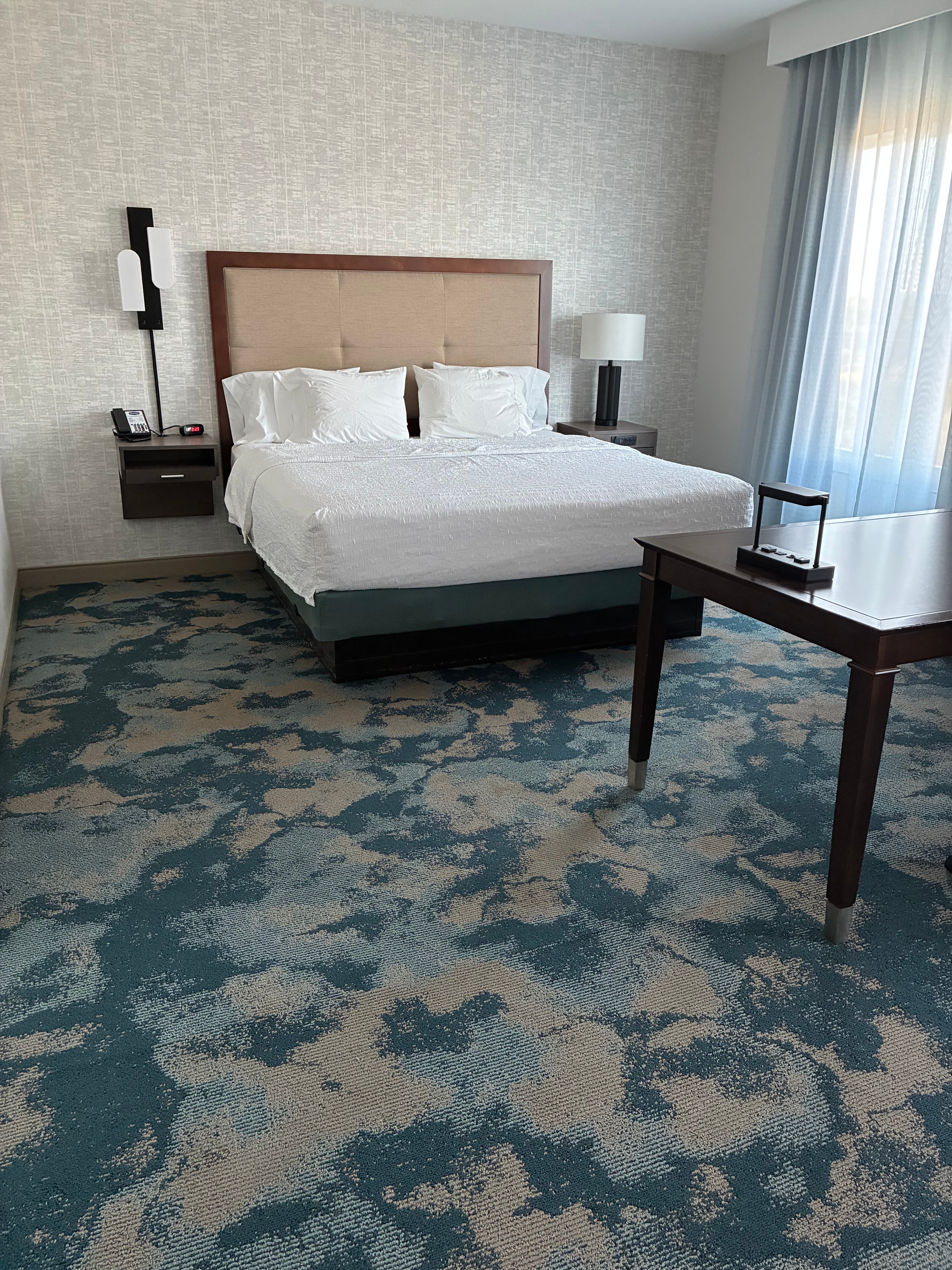 Hampton Inn & Suites Deland-客卧