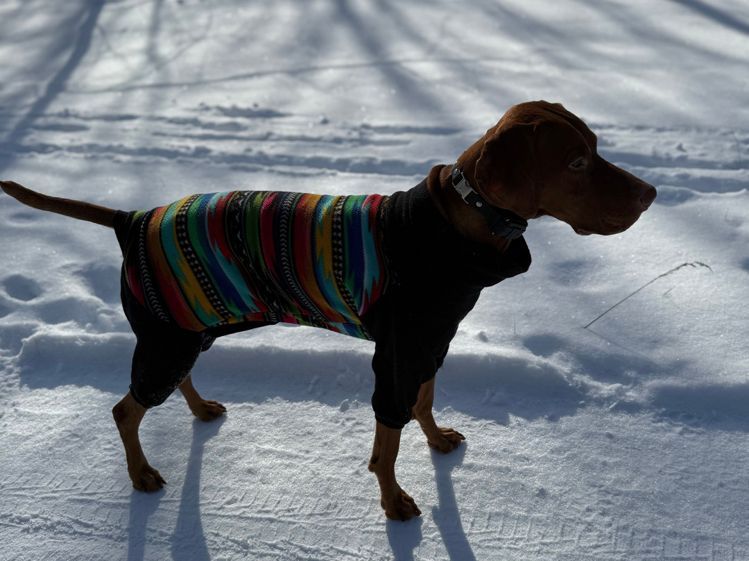 Stevensville Conservation Area-Stevensville必去景点