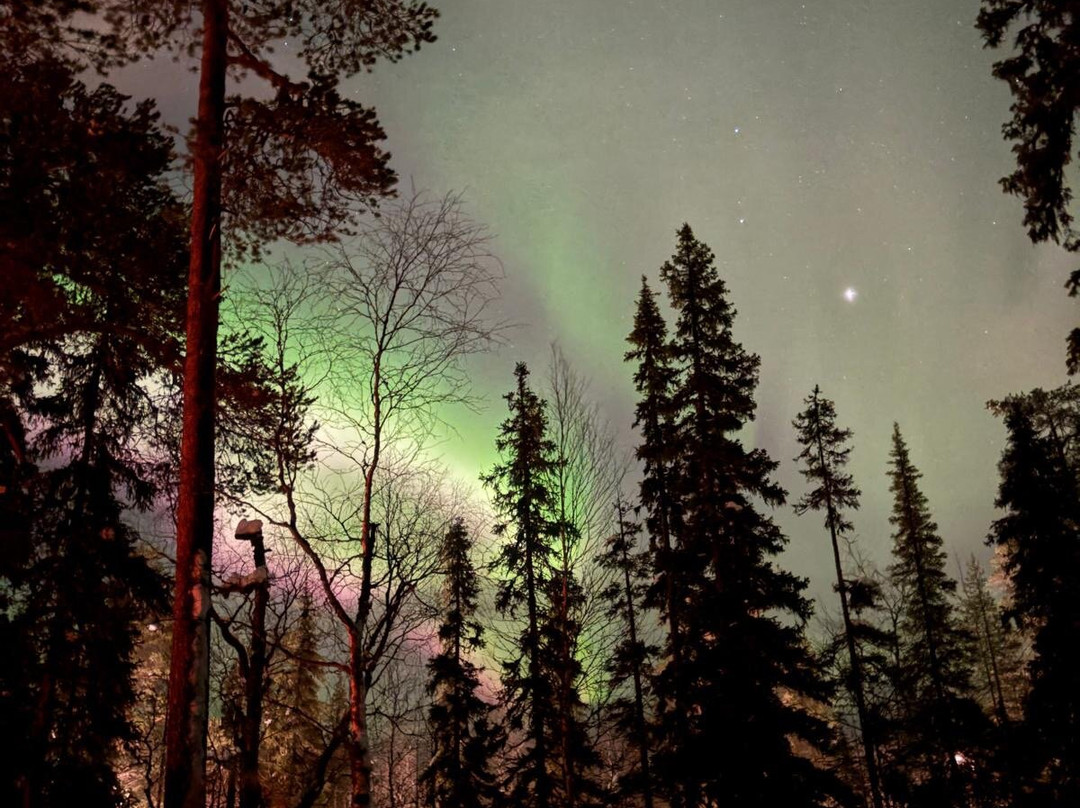 Lapland Safaris Luosto-Luosto必去景点