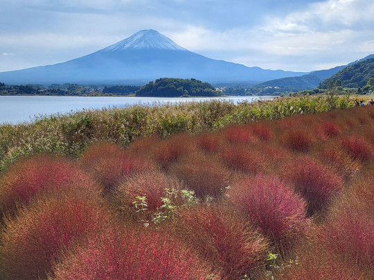 大石公园-富士河口湖町必去景点