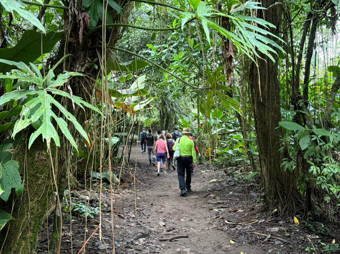 Costa Rica Roots Tours-托图杰多必去景点