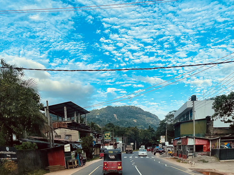 VAC Spices and Tea-科伦坡必去景点
