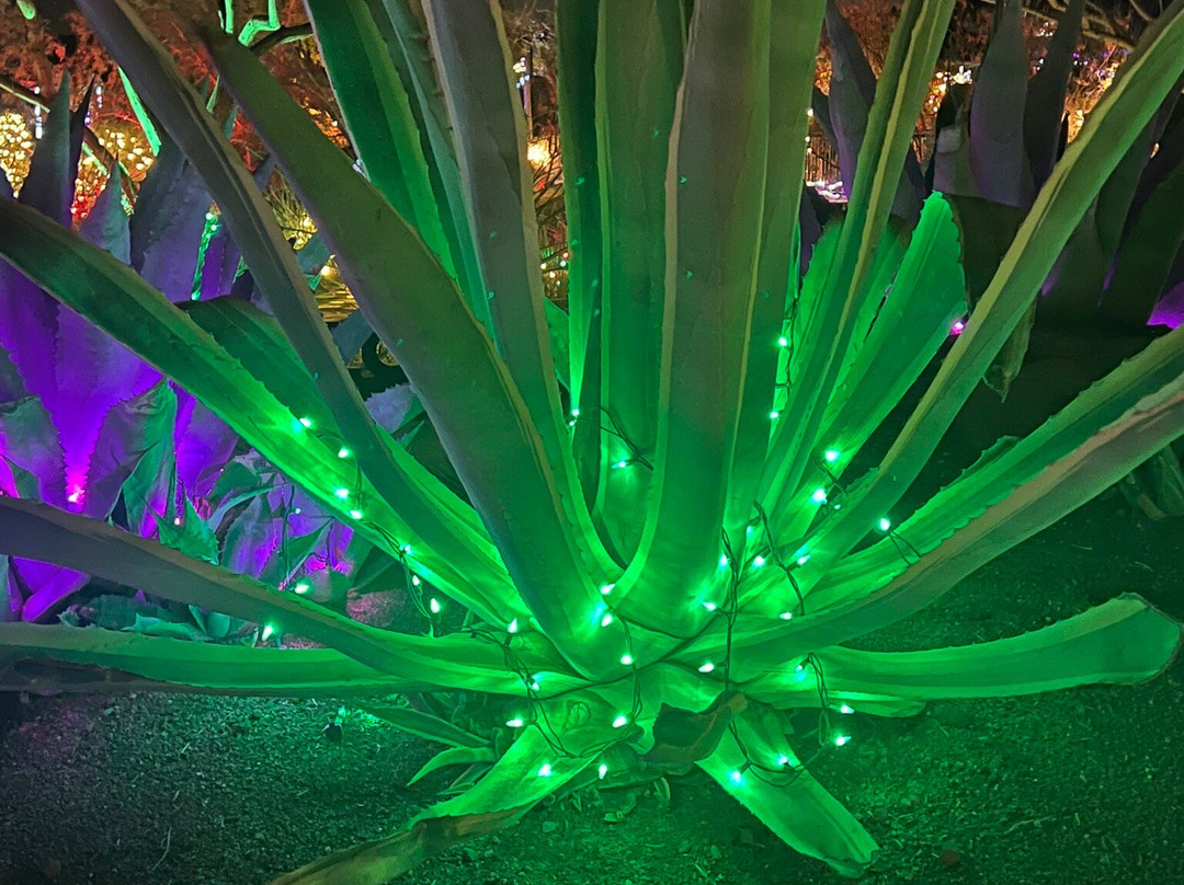 先锋公园-圣乔治必去景点