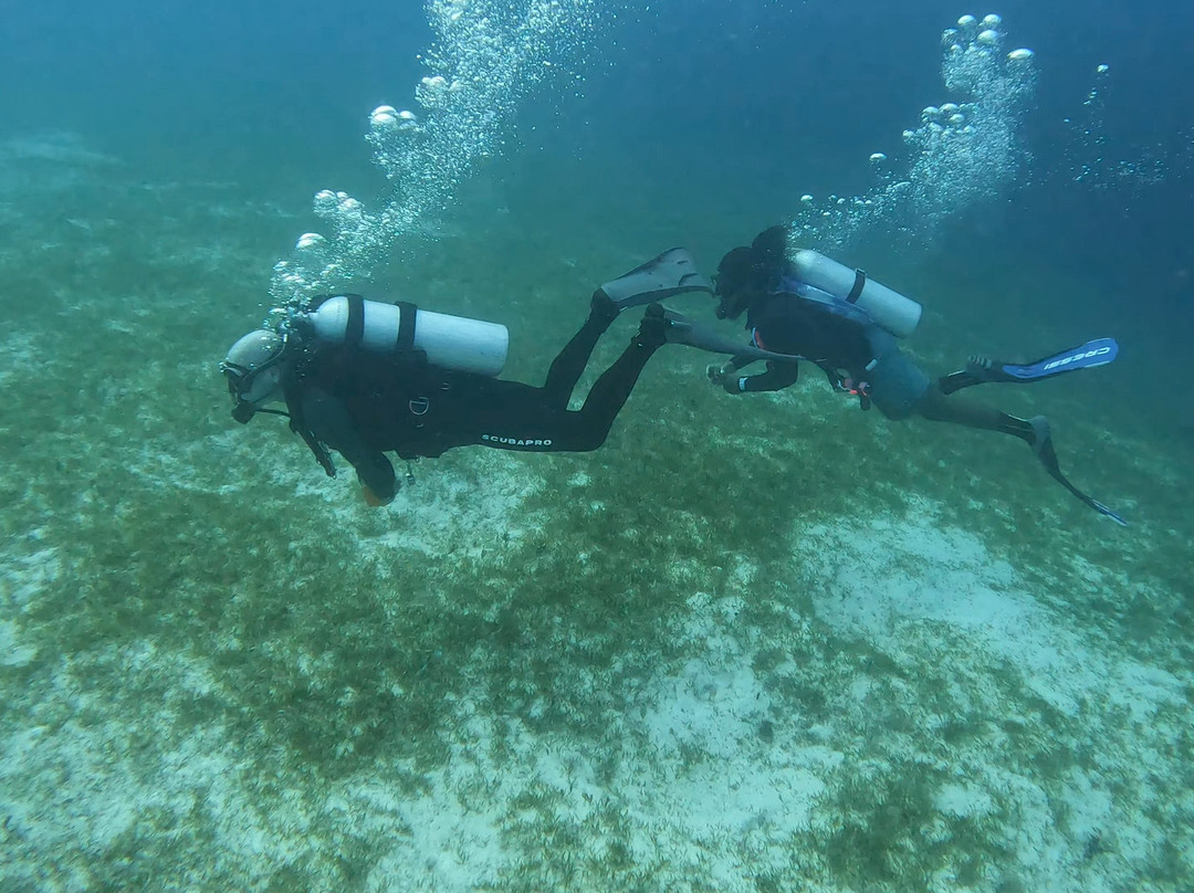Blue Water Divers-Cockburn Town必去景点