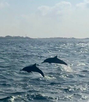 Himmafushi Scuba Adventure-Himmafushi Island必去景点
