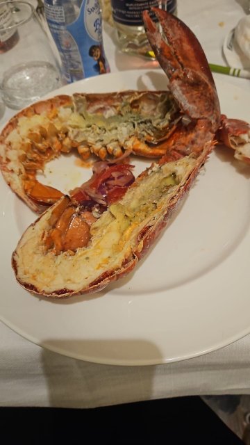 维奥拉酒店-官方