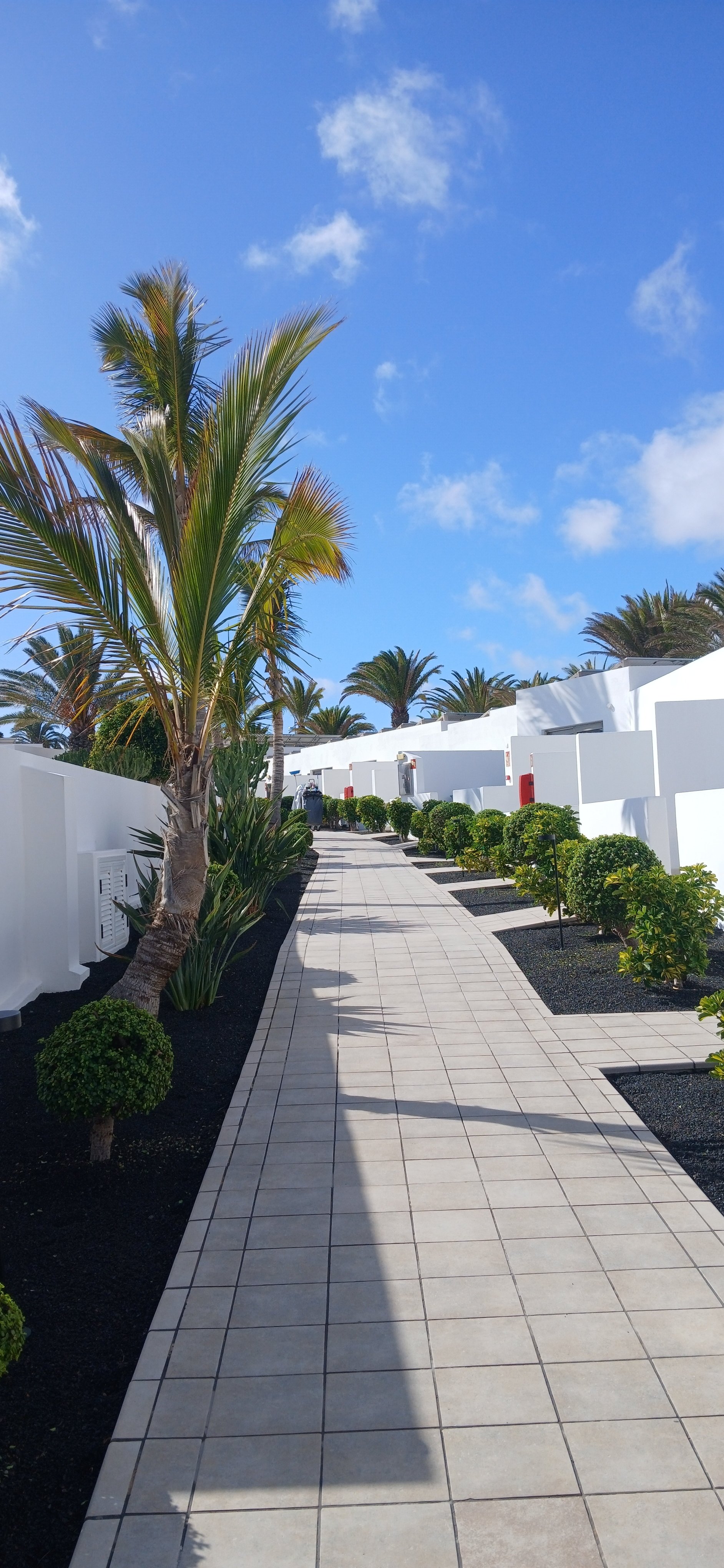 拉斯科斯塔斯酒店-官方