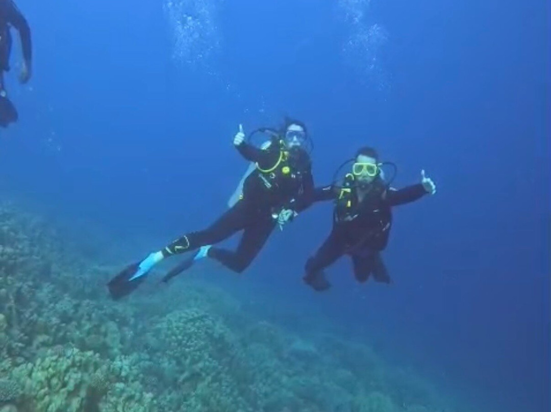 ORCA Dive Club Soma Bay-索马湾必去景点
