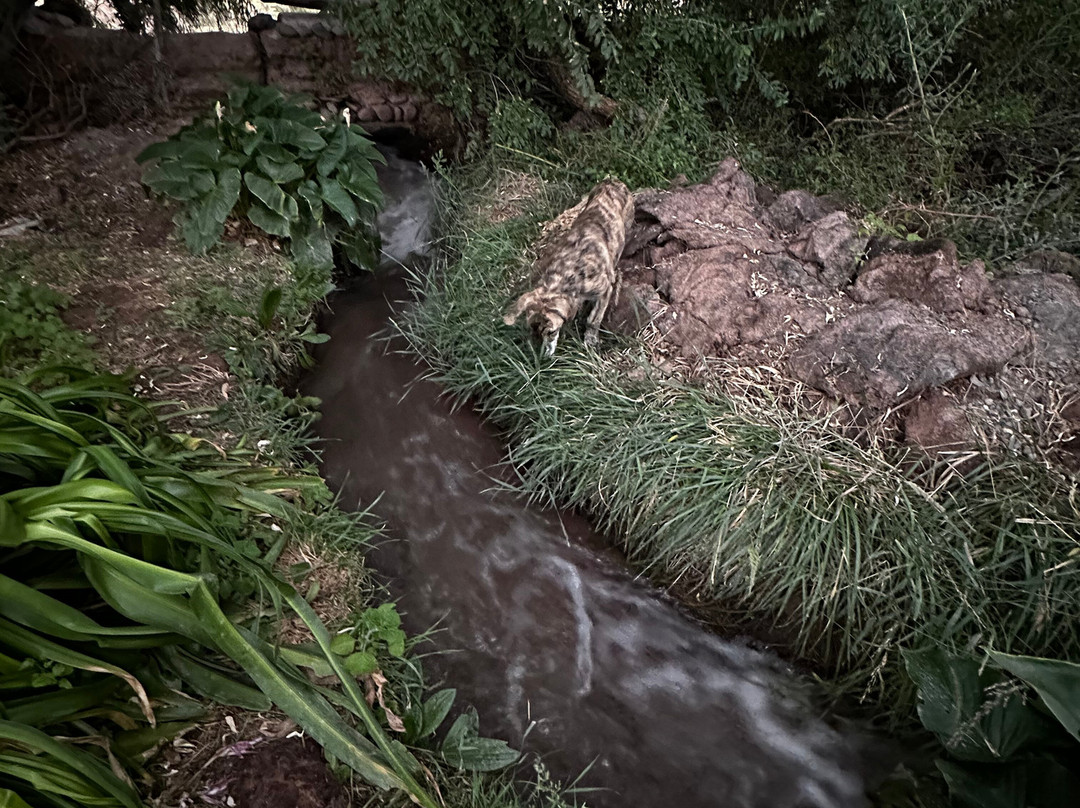 Sala De Payogasta主图