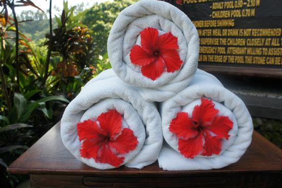 皇家皮塔马哈酒店主图