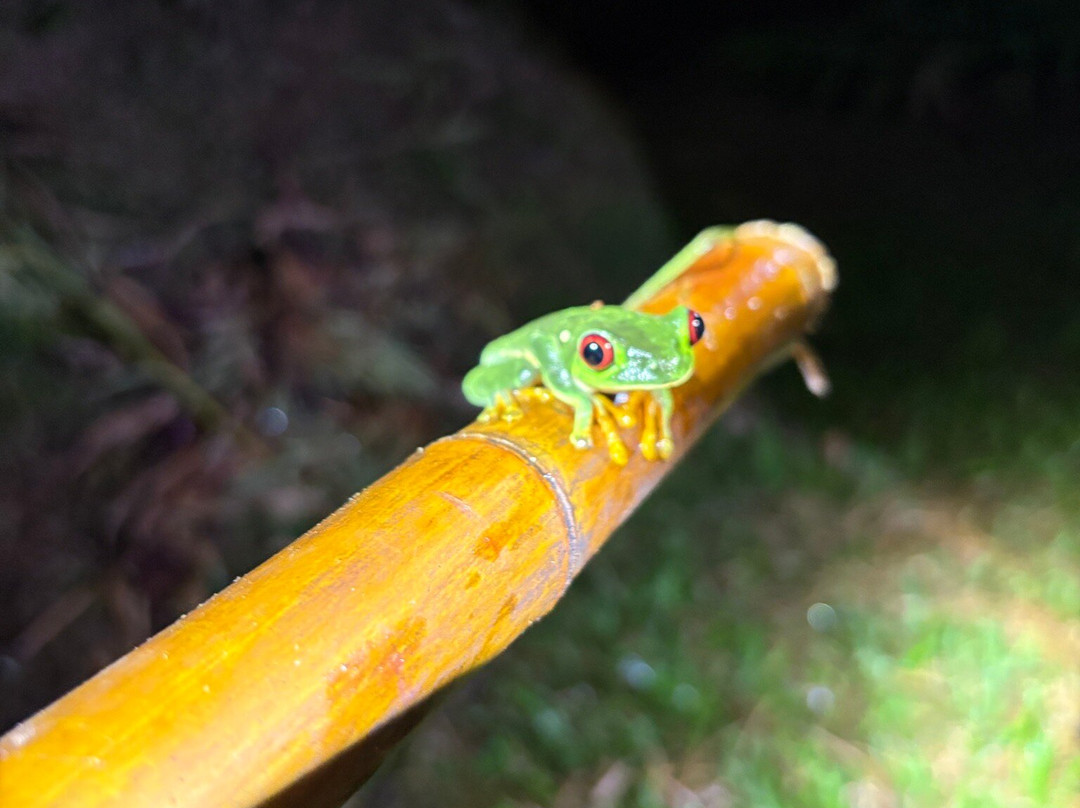 Santa Lucia Falls-乌维塔必去景点