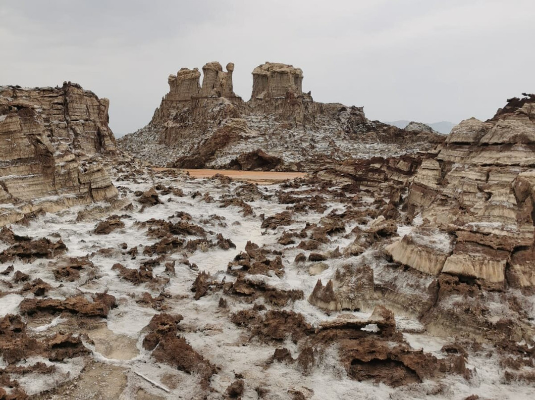 Lucy Ethiopia Tours-亚的斯亚贝巴必去景点
