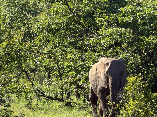 Bushveld Terrace Safari Hotel, Lodge & Spa主图