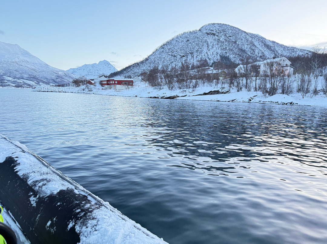 Arctic Aqua-Engenes必去景点