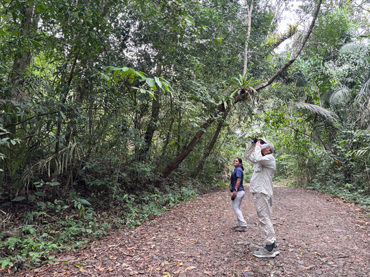 Panama Road Trips-巴拿马城必去景点
