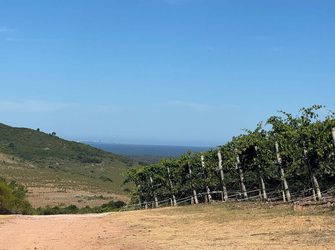 Bodega Cerro del Toro-Piriapolis必去景点