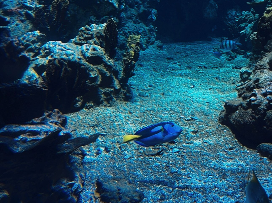 Planet Ocean Montpellier-蒙彼利埃必去景点