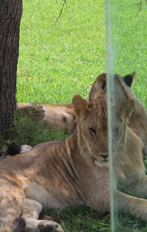 Shayona Safaris & Tours-姆万扎必去景点