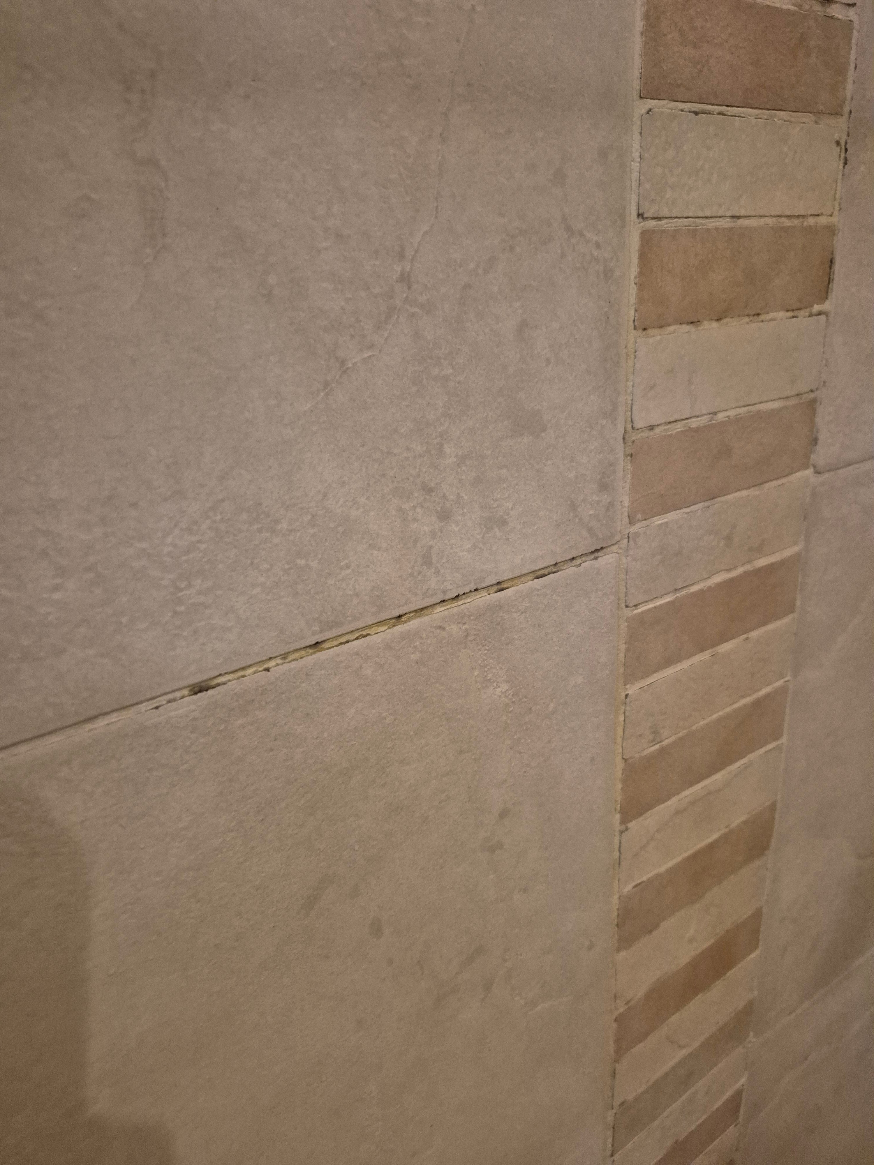 方舟山林小屋-官方