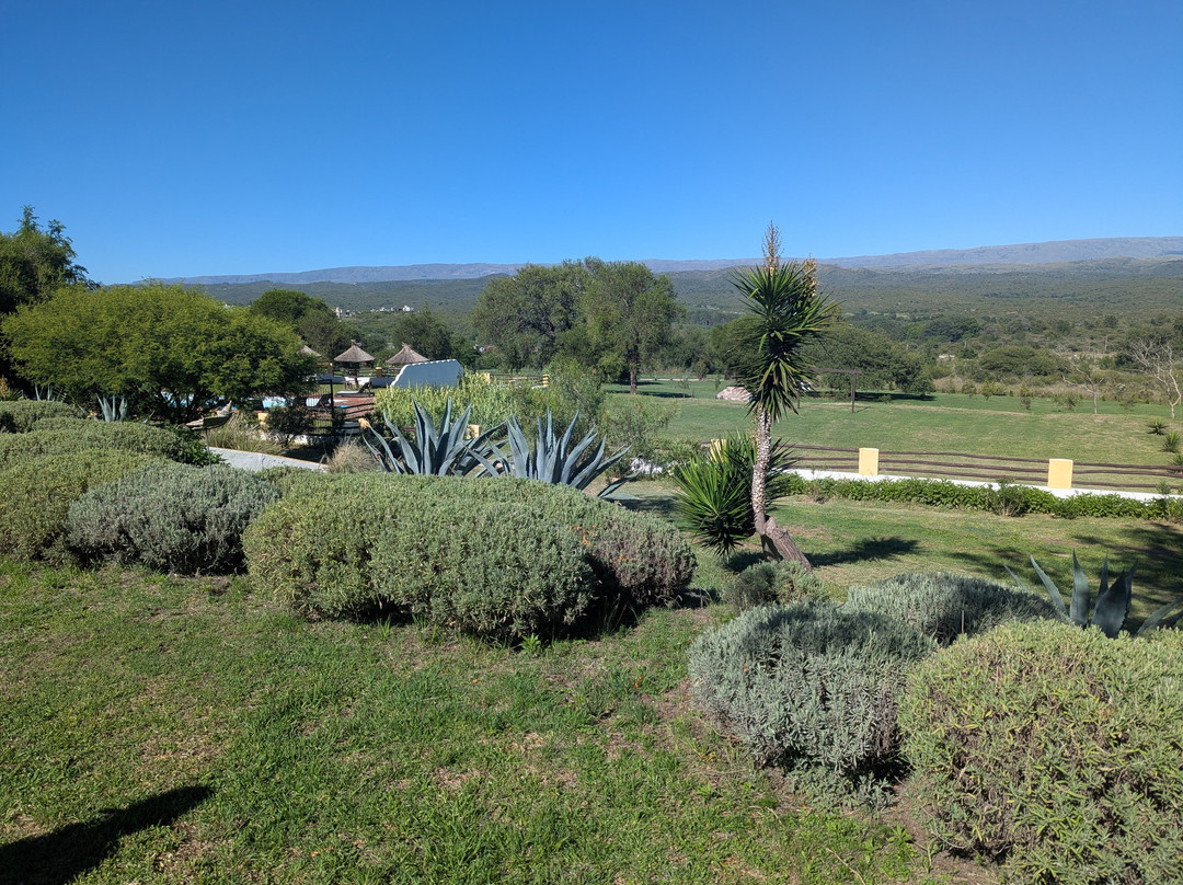 Campo Alegre