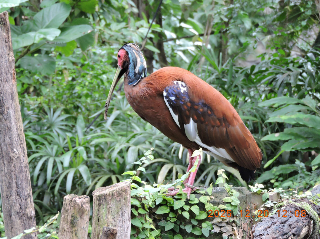 Zoo Leipzig-莱比锡必去景点