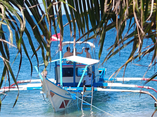 Pacific Divers-葡多咖蕾拉必去景点