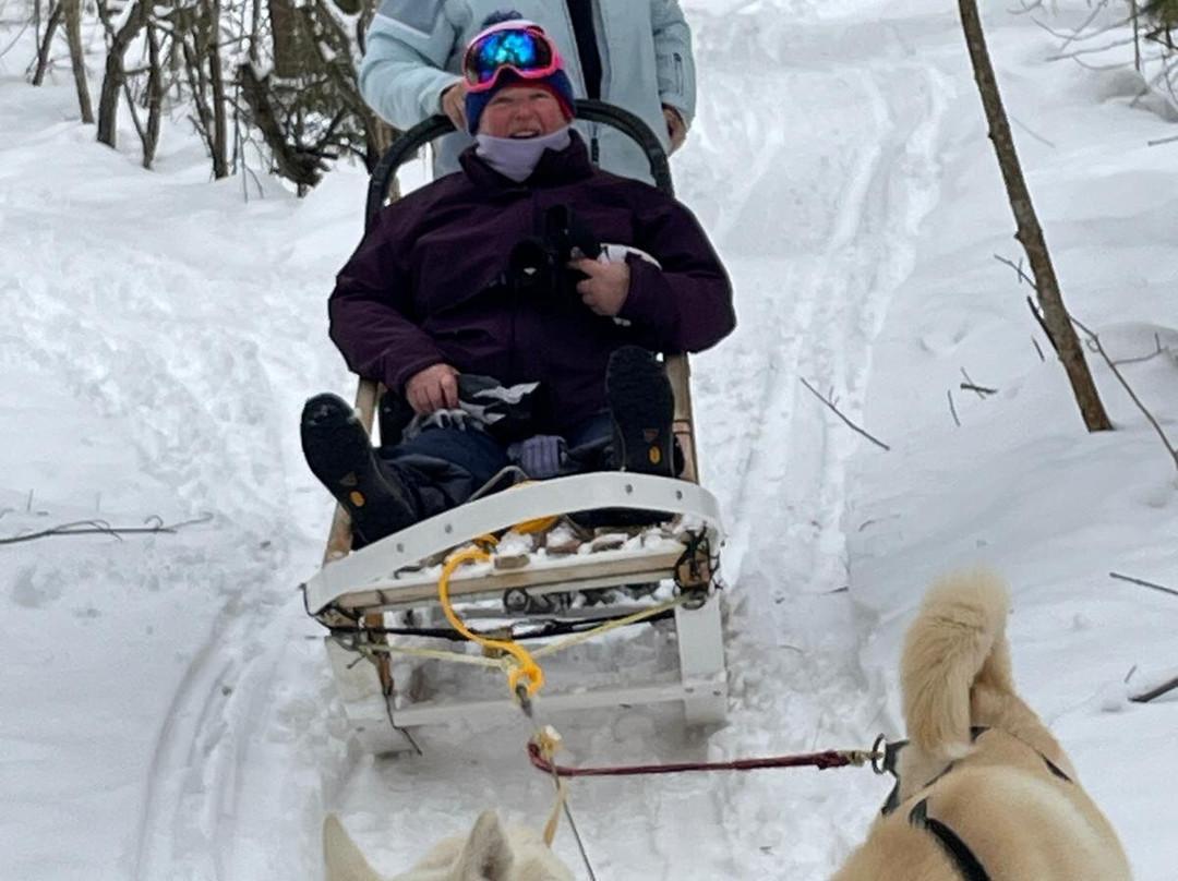 Windrift Kennel-奥里利亚必去景点