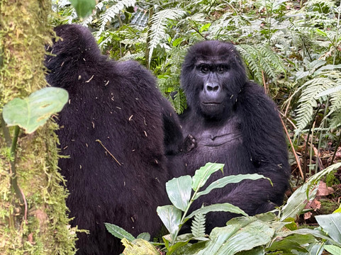 Sail Adventure Safaris-恩德培必去景点