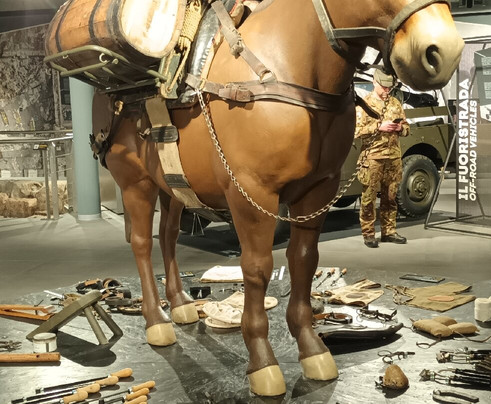 Museo Nazionale Storico degli Alpini-特伦托必去景点