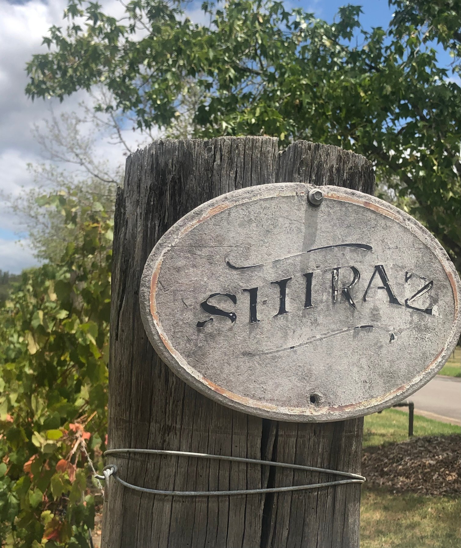 派佩斯旅舍猎人谷-官方