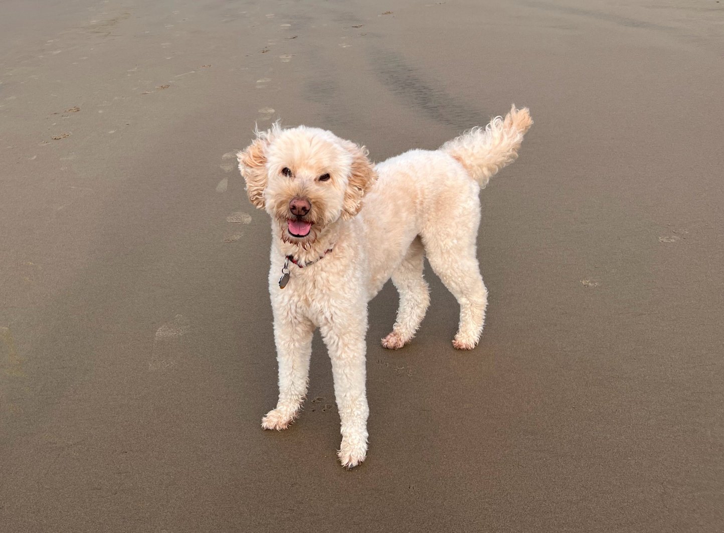 坎农比奇酒店-官方